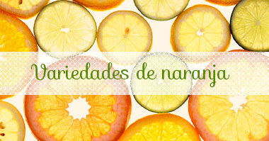 Variedades de naranja