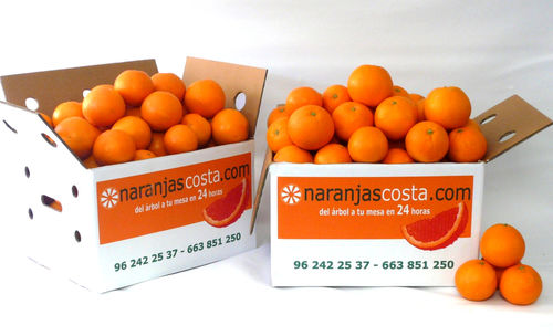 Naranjas de Mesa 24 kg