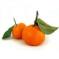 Mandarinas 24 Kg (12 kg + 12 kg) para compartir o no