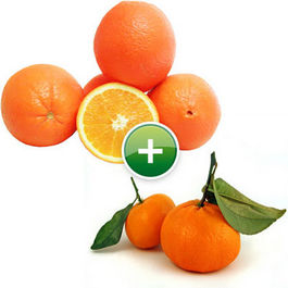 Naranjas y Mandarinas - Mixta de Mesa 12 Kg